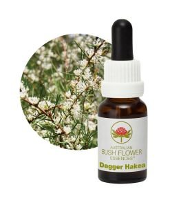 Dagger Hakea, 15 ml